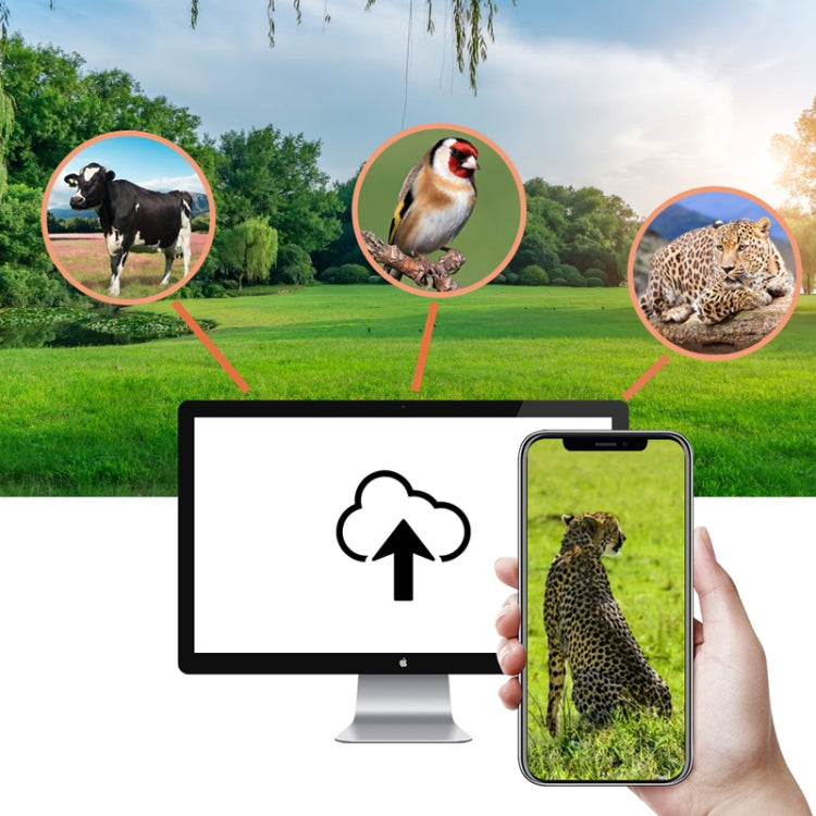 HC-940Pro-Li 4K 4G Outdoor Track Camera Remote Mobile Phone Control To View Photos / Video At Any Time by bashfashion