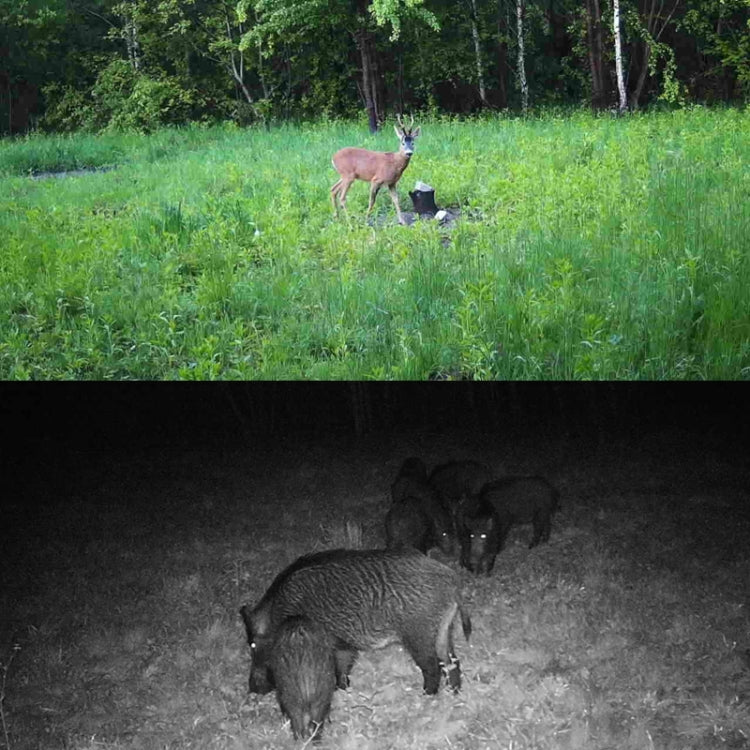 HC-810A 2.7K Outdoor Tracking Camera Infrared Night Vision Monitoring Hunting Camera by bashfashion