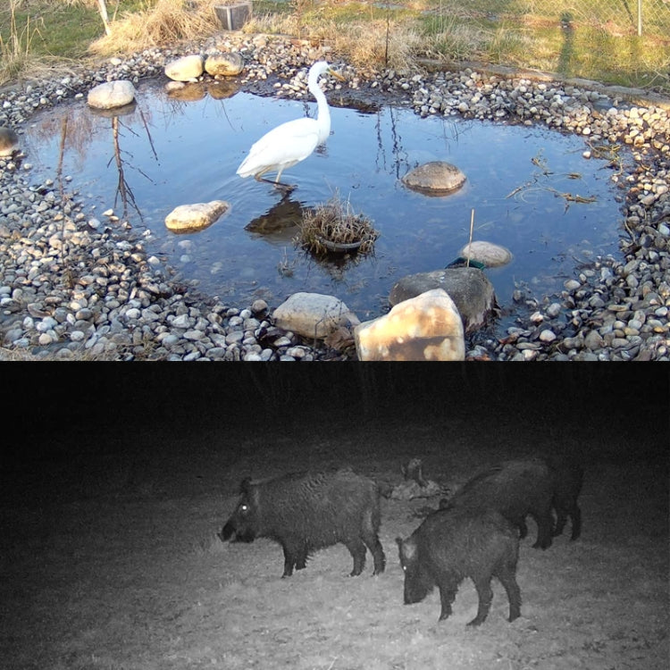 HC-801Pro 4K 4G Outdoor Hunting Camera App Remote Mobile Phone Control To View Photos And Video At Any Time, EU Plug by bashfashion