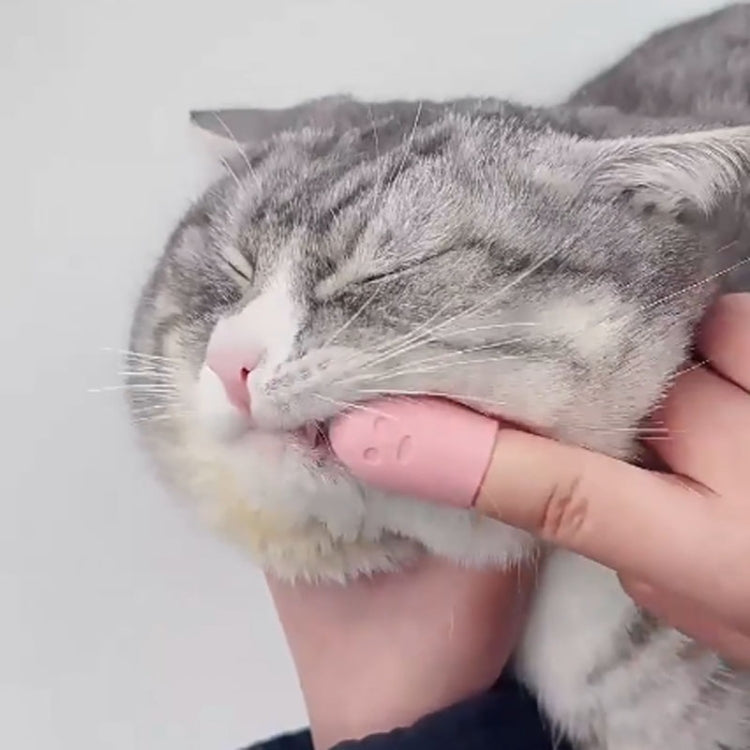 Pet Cats Dog Cleaning Comb Chin Teeth Cleaning Brush Silicone Brush(Purple) by bashfashion