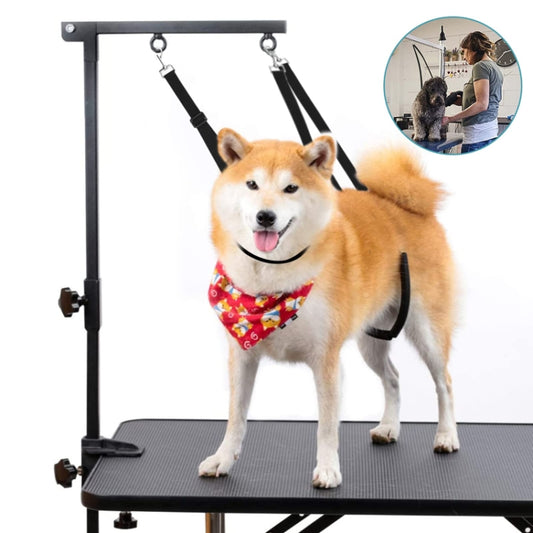 3pcs /Set Pet Bathing Beauty Table Fixed Lanyard Dog Tow Rope(Purple) by bashfashion