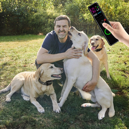 Ordinary Screen Remote Control Pet Electric Shock Circular Dog Trainer(Black) by bashfashion