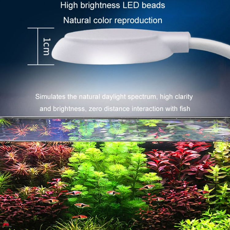 5W Fish Tank LED Clip Light USB Plug Lighting Aquarium Translucent Aquatic Plants Lamp(White) by bashfashion