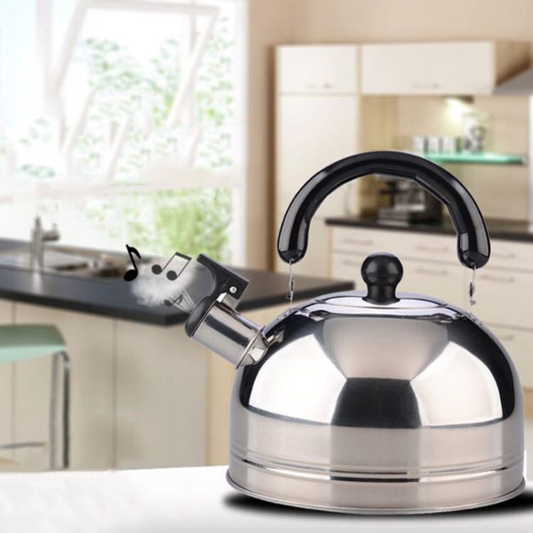 Thickened Stainless Steel Hemispherical Whistle Induction Cooker Gas Stove Kettle, Capacity: 3L by bashfashion