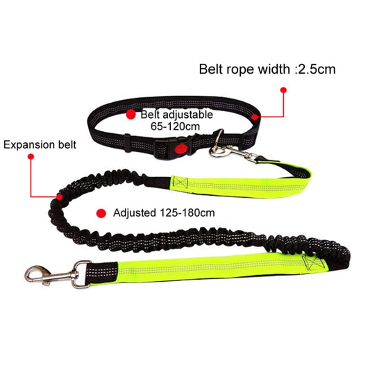 Pet Running Exercise Towing Leash Multifunctional Dog Walking Leashes(Black+Blue) by bashfashion