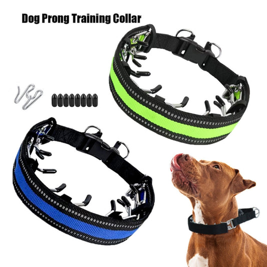 Pet Training Stimulating Chain Collar Anti-Burst Punch Dog Corral, Size: S(Blue) by bashfashion