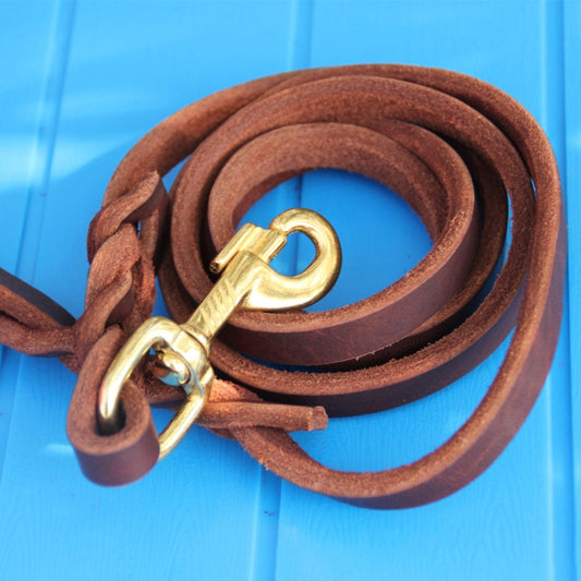 1.2 x 250cm Pet Outing Cowhide Towing Leash Dog Training Harness(Bronze Hook) by bashfashion