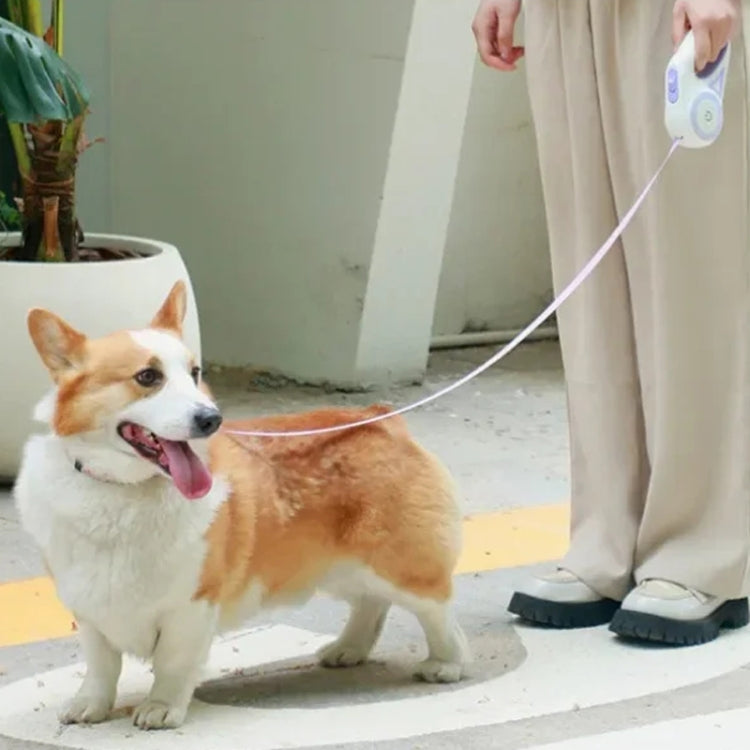 LED Light Luminous Pet Dog Leash Automatic Retractable Dog Walking Leash, Color: 3m Purple by bashfashion