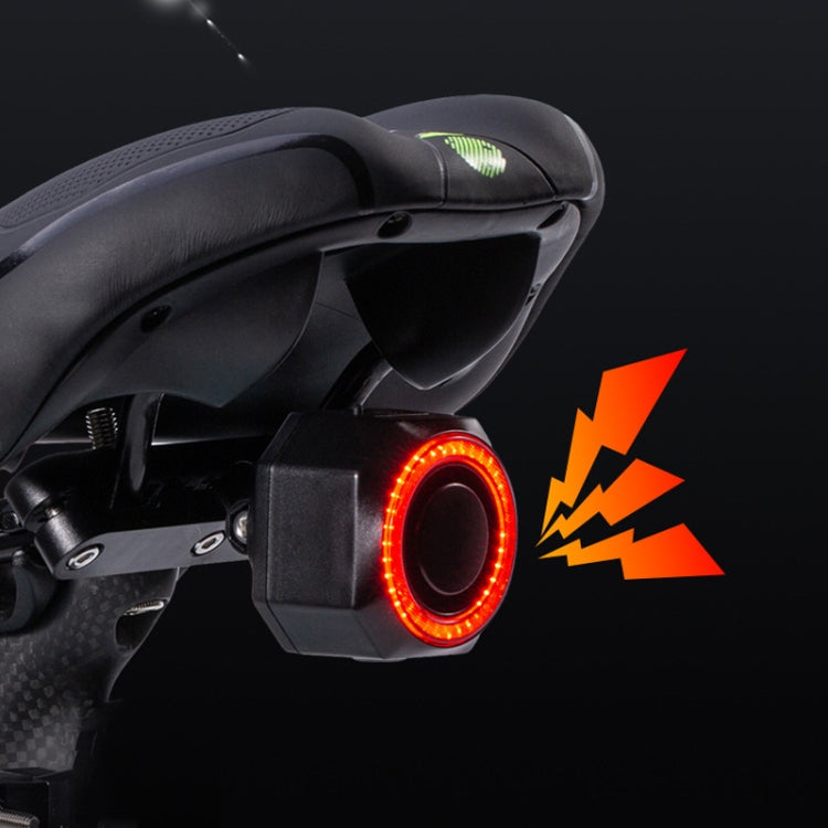 Bicycle Smart Taillight Anti-theft Alarm Brake Warning Light, Model: WL09C Remote Control by bashfashion