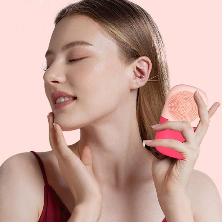 Beauty Capsule Tool Facial Massage Cleansing Silicone Compress Ice Compartment Mold(Pink Rose Red) by bashfashion