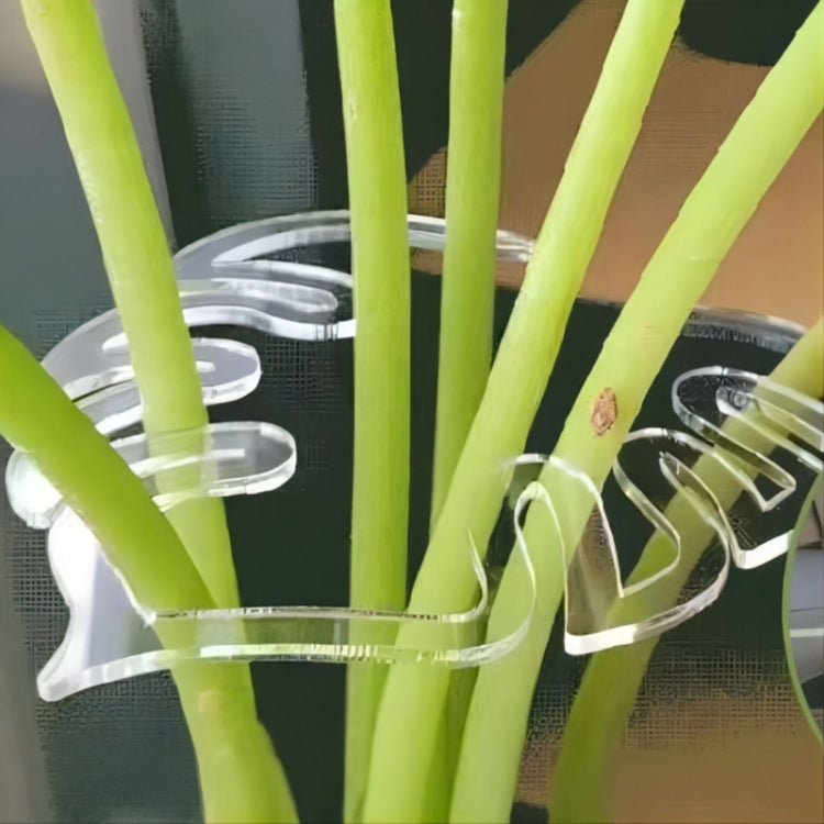 BJ138-002 Plant Roots Fixing Bracket Gardening Care Tools by bashfashion