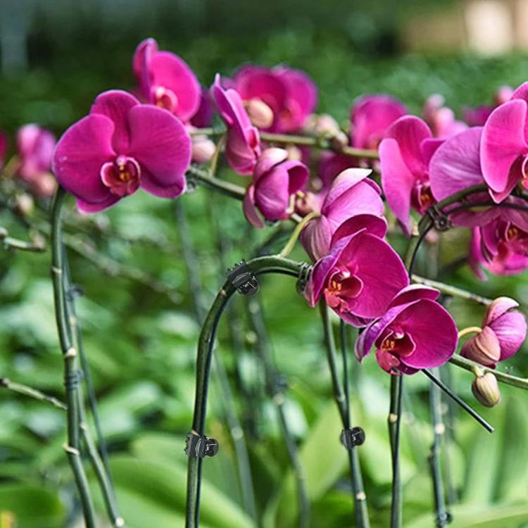 TBD06058968_B6.jpg@4ab0ed7902e083a448b8f38ae172e997