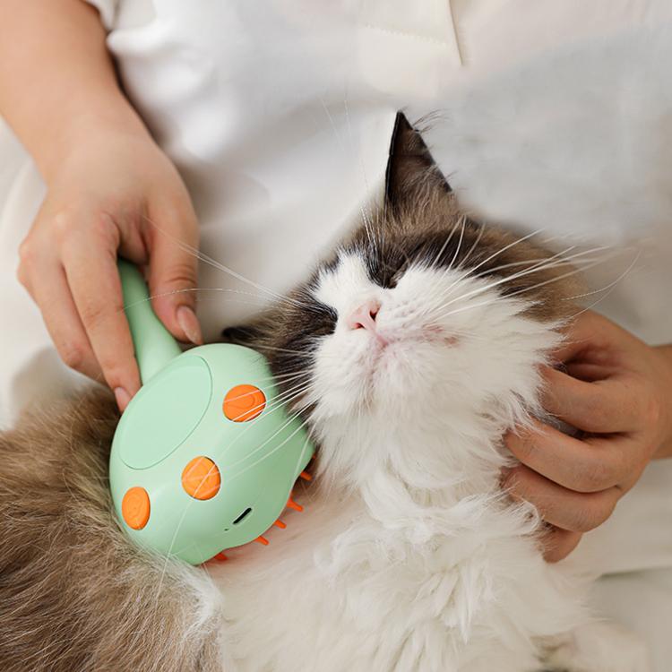 TBD06061728_B10.jpg@510a8efc49468141cf65f86d477f64fc