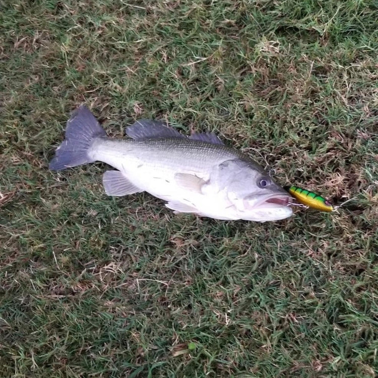 HENGJIA PE018 10cm/13g Propeller Tractor Shaped Hard Baits Fishing Lures Tackle Baits Fit Saltwater and Freshwater (2#) by HENGJIA