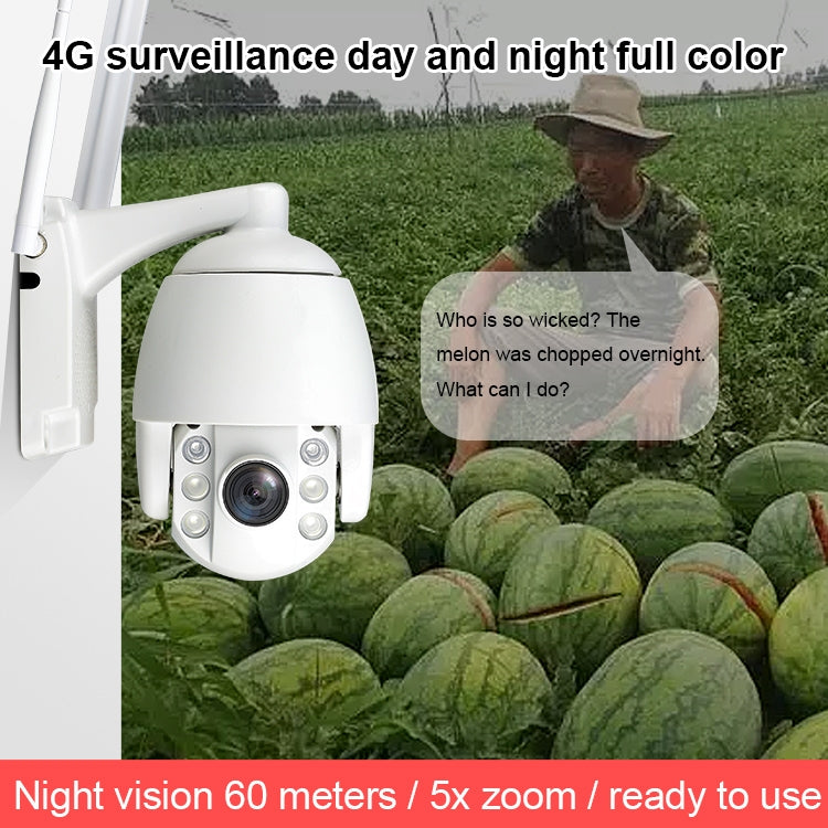 QX2 4G (US Version) 1080P HD 360 Degrees Panoramic Day and Night Full-color IP66 Waterproof Smart Camera, Support Motion Detection / Two-way Voice / TF Card, US Plug by bashfashion