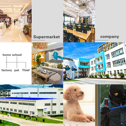 DP16 2.0 Megapixel 42 LEDs Garden Light Smart Camera, Support Motion Detection / Night Vision / Voice Intercom / TF Card, US Plug by bashfashion