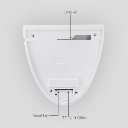 DP16 2.0 Megapixel 42 LEDs Garden Light Smart Camera, Support Motion Detection / Night Vision / Voice Intercom / TF Card, EU Plug by bashfashion