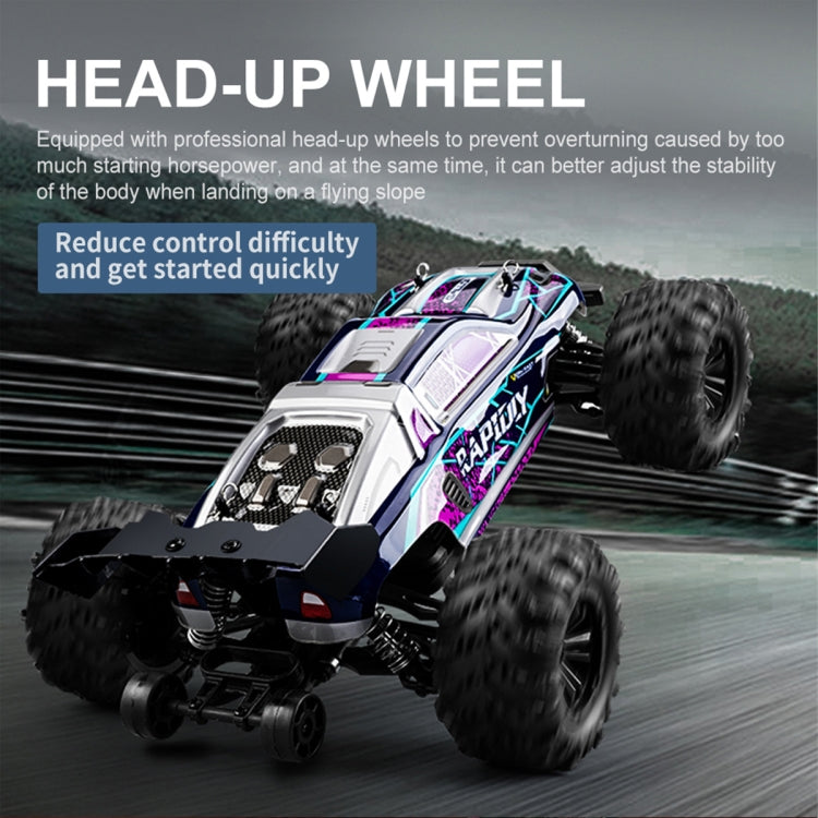 SCY-16101 2.4G 1:16 Electric 4WD RC Monster Truck Coupe Car Toy (Blue) by bashfashion