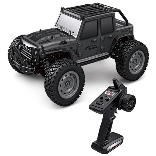 SCY-16103 2.4G 1:16 Electric 4WD RC Off-road Vehicle Car Toy (Dark Gray) by bashfashion