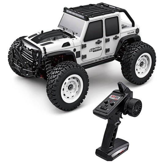 SCY-16103 2.4G 1:16 Electric 4WD RC Off-road Vehicle Car Toy (White) by bashfashion