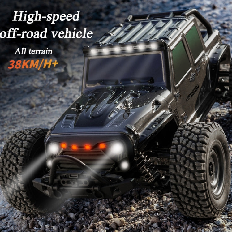 SCY-16103 2.4G 1:16 Electric 4WD RC Off-road Vehicle Car Toy (Dark Gray) by bashfashion