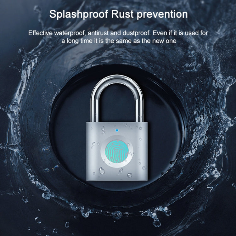 X007 Micro USB Charging Mini Metal Fingerprint Padlock Small Drawer Lock (Silver) by bashfashion