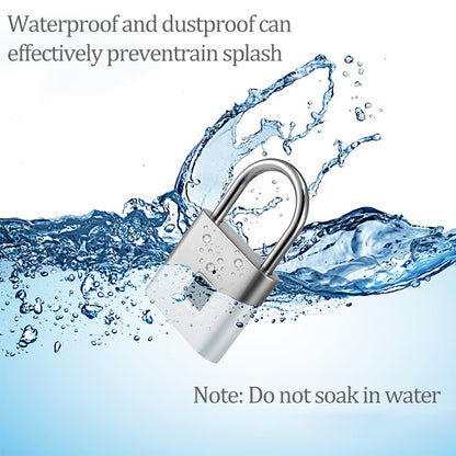 Stainless Steel Automatic Intelligent Fingerprint Padlock Electronic Lock, 10 Fingerprint Edition(Silver) by bashfashion