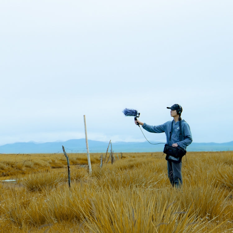 Deity V-Mic D3 Pro Kit Directional Condenser Shotgun Microphone with Shock Mount with Handle (Black) by Aputure