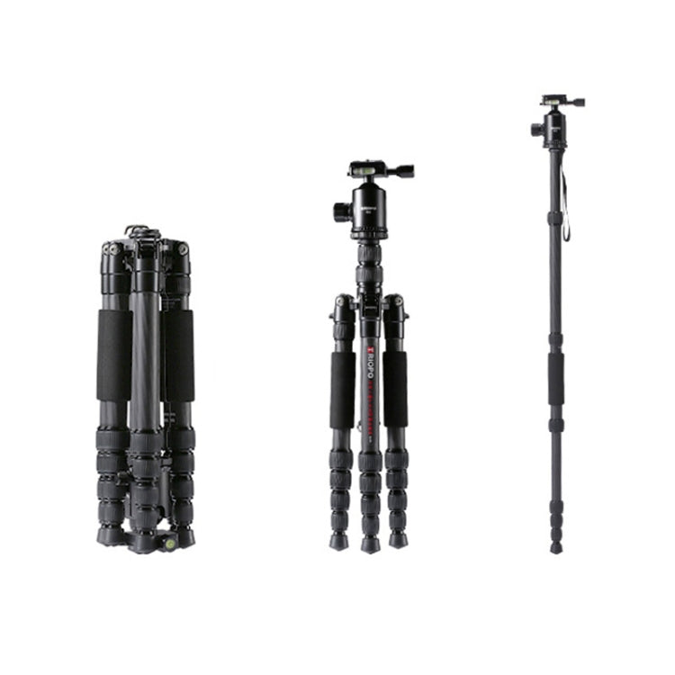 TRIOPO T259G+Q2 Adjustable Portable Carbon Fiber Tripod with Q-2 Ball Head for SLR Camera by TRIOPO