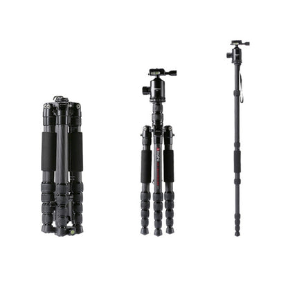 TRIOPO T259G+Q2 Adjustable Portable Carbon Fiber Tripod with Q-2 Ball Head for SLR Camera by TRIOPO