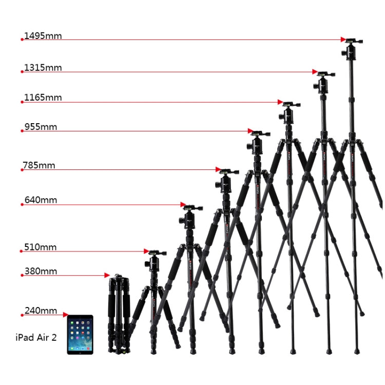 TRIOPO T259G+Q2 Adjustable Portable Carbon Fiber Tripod with Q-2 Ball Head for SLR Camera by TRIOPO