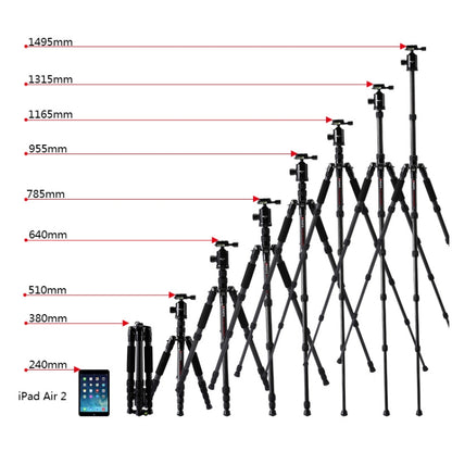 TRIOPO T259G+Q2 Adjustable Portable Carbon Fiber Tripod with Q-2 Ball Head for SLR Camera by TRIOPO