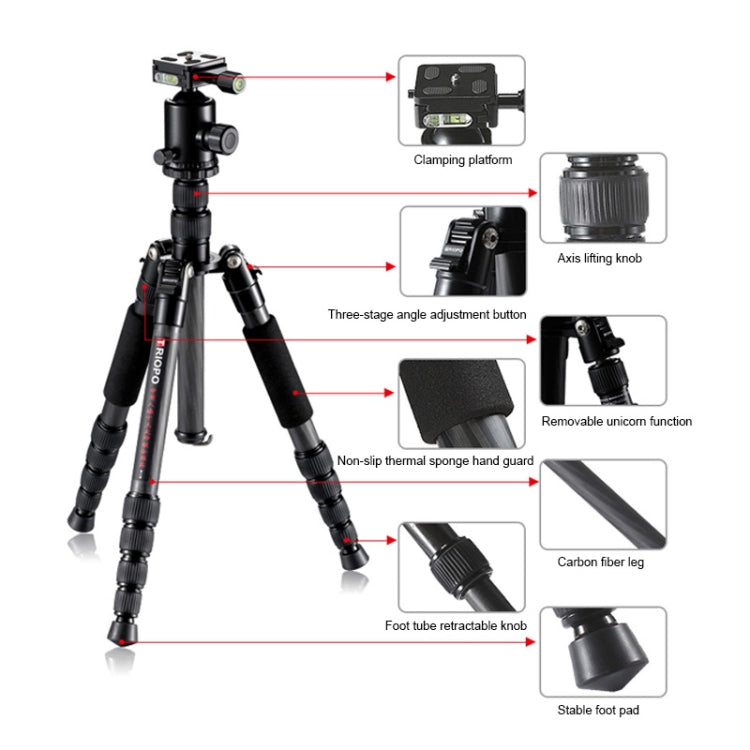 TRIOPO T259G+Q2 Adjustable Portable Carbon Fiber Tripod with Q-2 Ball Head for SLR Camera by TRIOPO