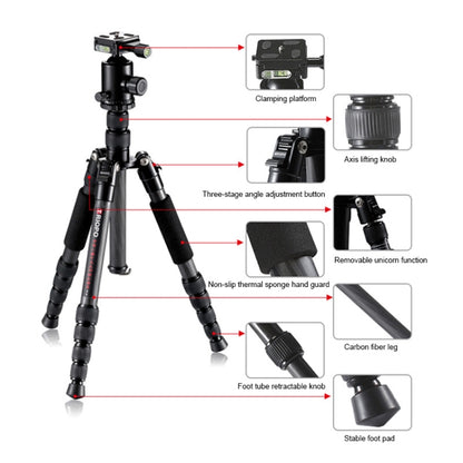 TRIOPO T259G+Q2 Adjustable Portable Carbon Fiber Tripod with Q-2 Ball Head for SLR Camera by TRIOPO