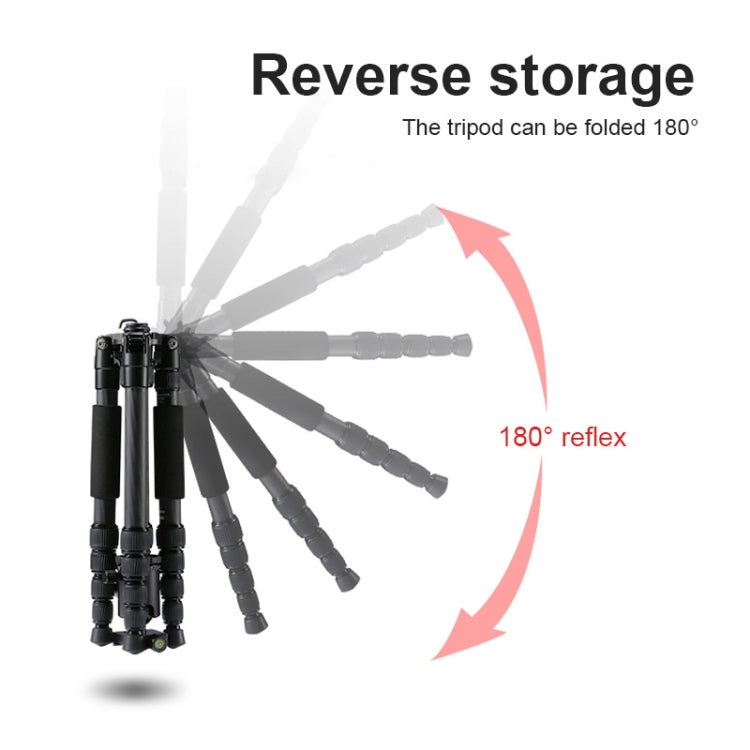TRIOPO T259G+Q2 Adjustable Portable Carbon Fiber Tripod with Q-2 Ball Head for SLR Camera by TRIOPO