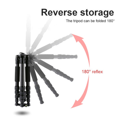 TRIOPO T259G+Q2 Adjustable Portable Carbon Fiber Tripod with Q-2 Ball Head for SLR Camera by TRIOPO