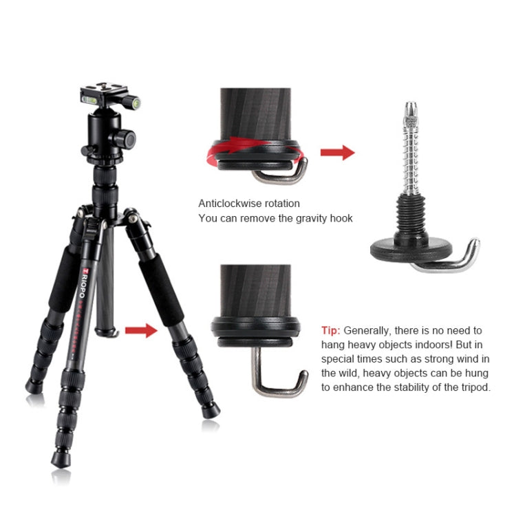 TRIOPO T259G+Q2 Adjustable Portable Carbon Fiber Tripod with Q-2 Ball Head for SLR Camera by TRIOPO