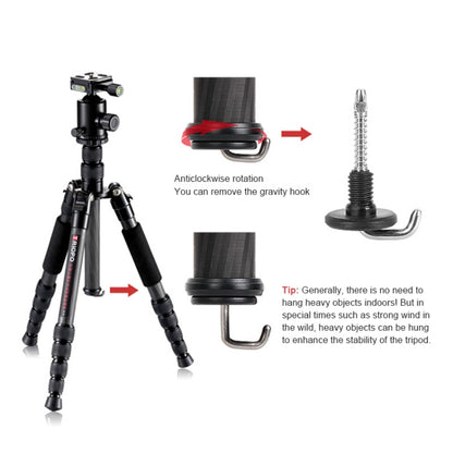 TRIOPO T259G+Q2 Adjustable Portable Carbon Fiber Tripod with Q-2 Ball Head for SLR Camera by TRIOPO