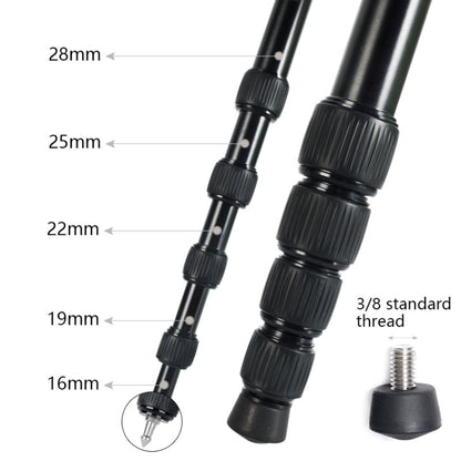 BEXIN MAS285 Portable Travel Outdoor DSLR Camera Aluminum Alloy Monopod Holder(Black) by BEXIN