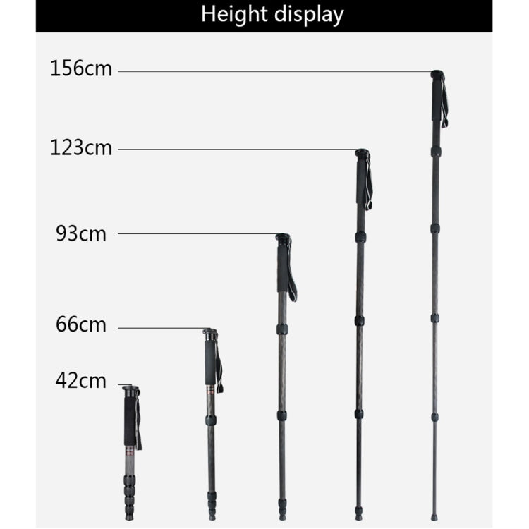 BEXIN MCS285 Portable Travel Outdoor DSLR Camera Carbon Fiber Monopod Holder (Black) by BEXIN