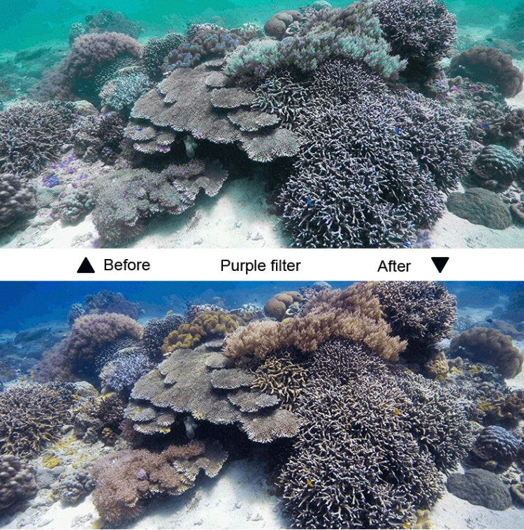 45m Waterproof Housing Protective Case + Touch Screen Back Cover for GoPro NEW HERO /HERO6 /5, with Buckle Basic Mount & Screw & (Purple, Red, Pink) Filters, No Need to Remove Lens (Transparent) by bashfashion