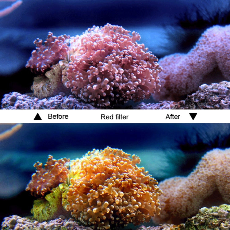 45m Waterproof Housing Protective Case + Touch Screen Back Cover for GoPro NEW HERO /HERO6 /5, with Buckle Basic Mount & Screw & (Purple, Red, Pink) Filters, No Need to Remove Lens (Transparent) by bashfashion