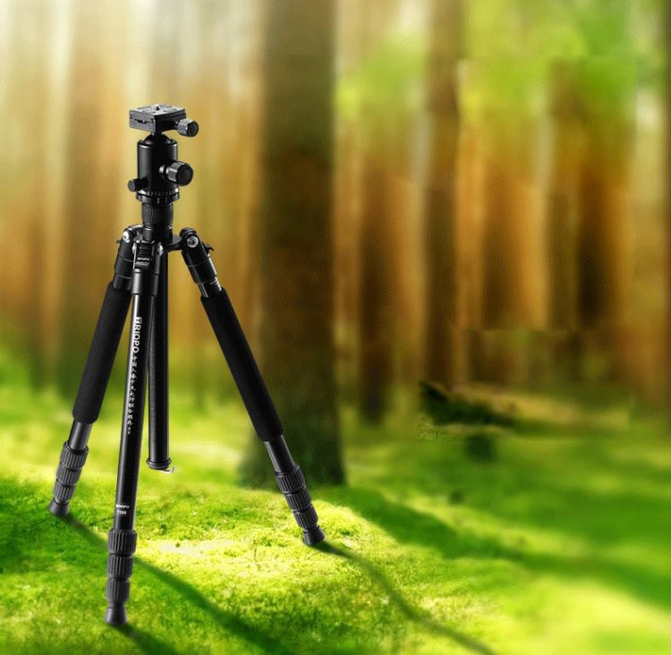 TRIOPO T258 Aluminum Alloy Tripod Monopod with D2 Ball Head (Black) by TRIOPO
