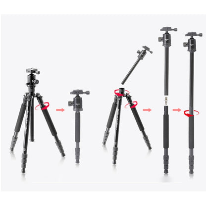 TRIOPO T258 Aluminum Alloy Tripod Monopod with D2 Ball Head (Black) by TRIOPO