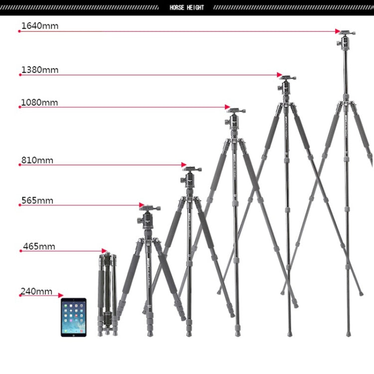 TRIOPO T258 Aluminum Alloy Tripod Monopod with D2 Ball Head (Black) by TRIOPO