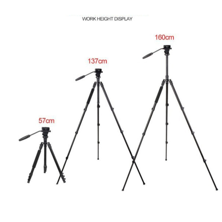 TRIOPO K2808 Aluminum Tripod Mount with HY-350 Heavy Duty Damping Head (Black) by TRIOPO