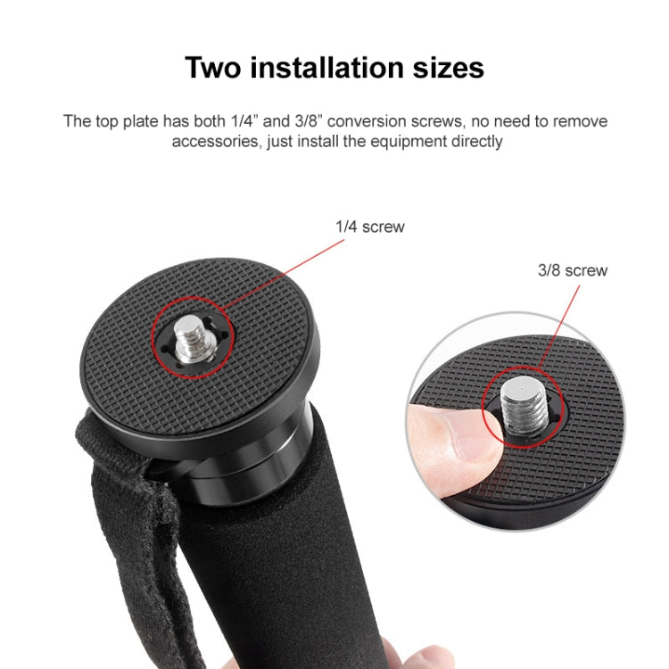 BEXIN P335C Camera Carbon Fiber Monopod Travel Live Selfie Bracket Holder by BEXIN