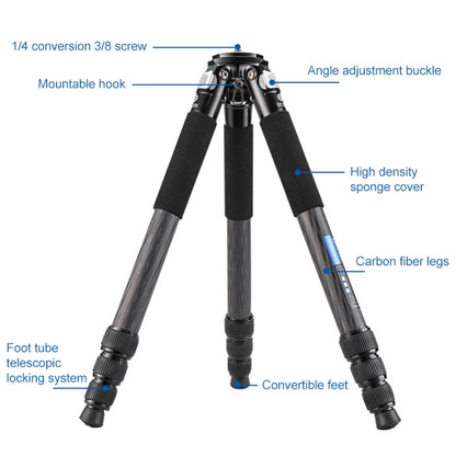 BEXIN RC334 Portable Collapsible Carbon Fiber Camera Tripod by BEXIN