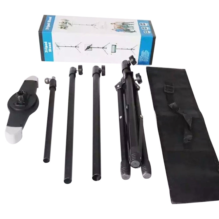 DCA2541_6.jpg@aae27de45dbc857635f775fc082faa4c