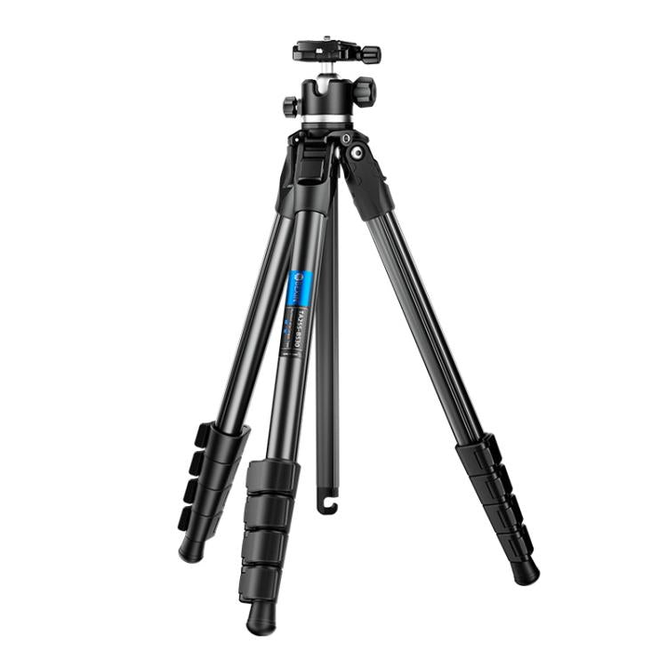 BEXIN TA255-BS30 Portable Collapsible Aluminum Alloy Camera Tripod with Head (Black) by BEXIN